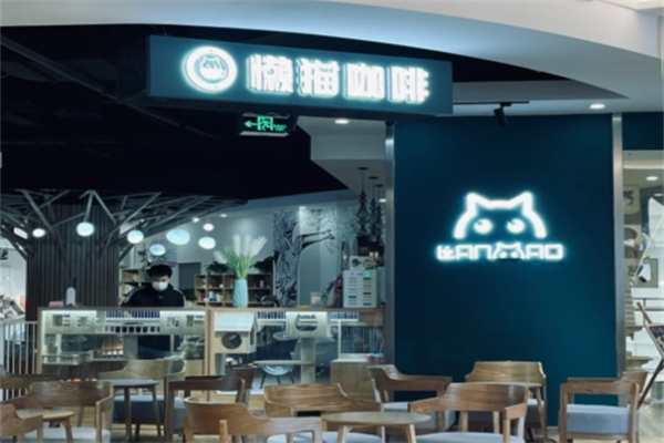 懒猫咖啡