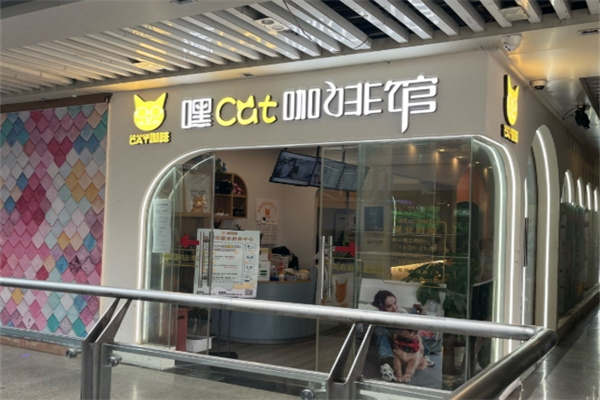 懒猫咖啡