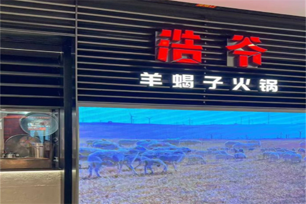浩爷羊蝎子 浩爷羊蝎子