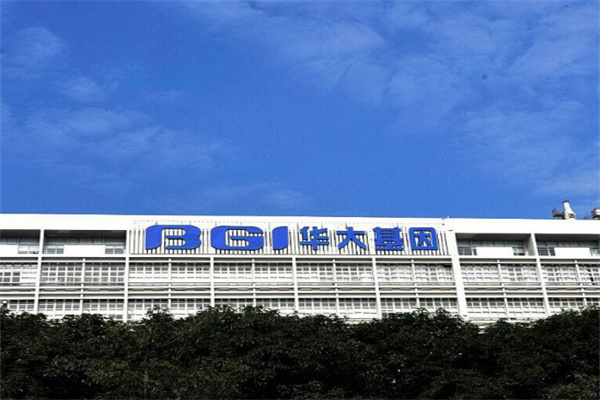 华大基因检测