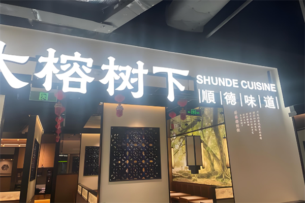 大榕树下 大榕树下