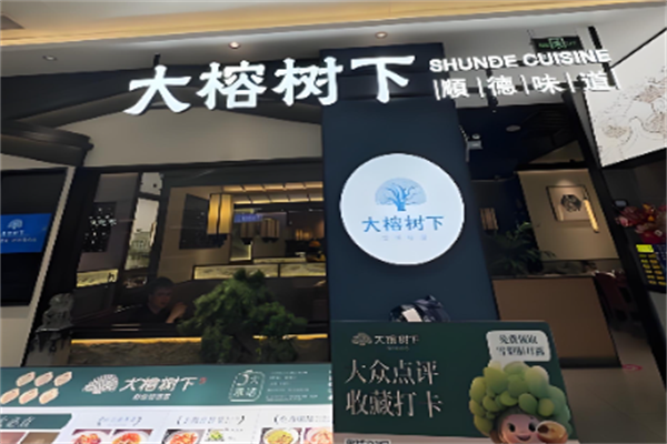 大榕树下 大榕树下