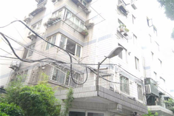意大利电力 意大利电力