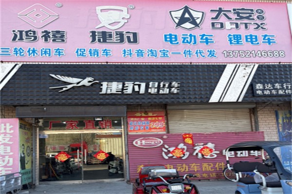 鸿禧牌电动自行车 鸿禧牌电动自行车