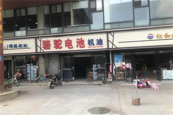 骆驼电池 骆驼电池