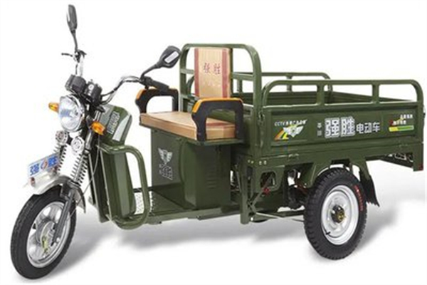 强胜电动车