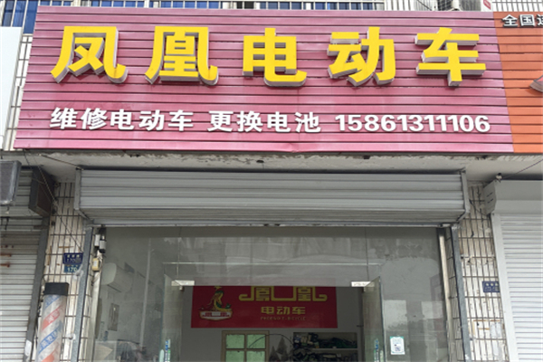 凤凰电动汽车