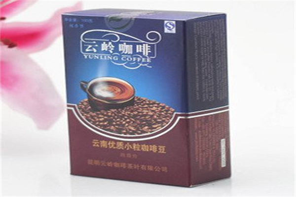 云岭咖啡加盟费用多少?小额投入创业