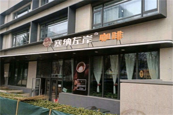 塞纳左岸