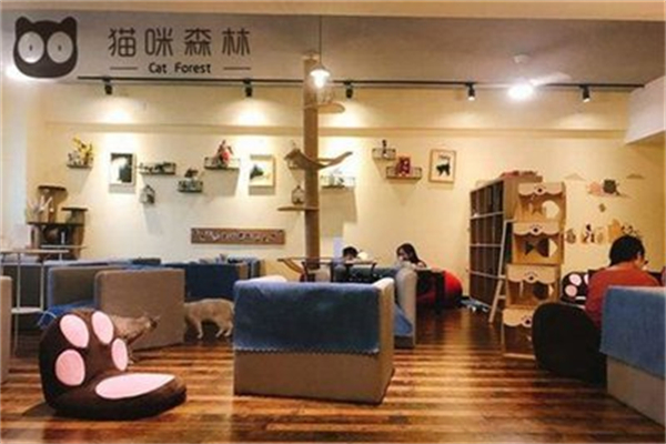 猫咪森林咖啡 猫咪森林咖啡