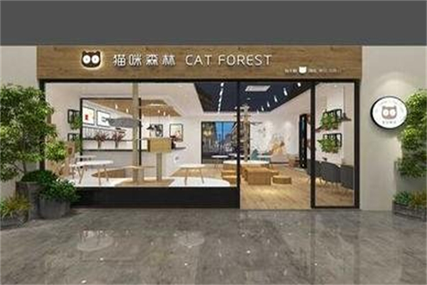 猫咪森林咖啡 猫咪森林咖啡