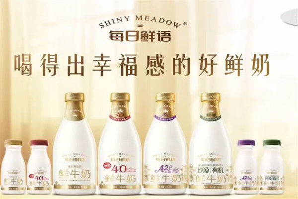 每日鲜语牛奶
