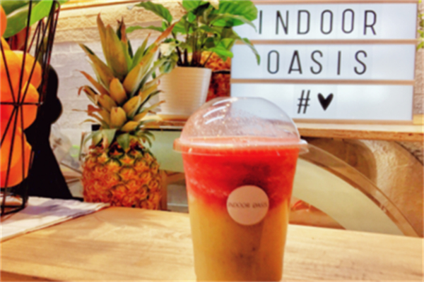 indoor oasis绿洲间 indoor oasis绿洲间