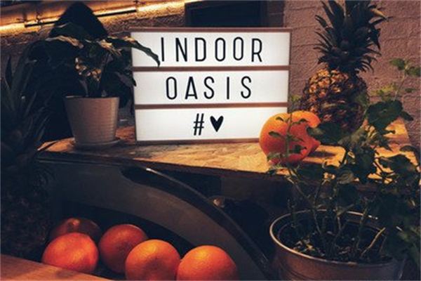 indoor oasis绿洲间 indoor oasis绿洲间