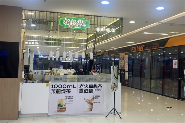 柏良集养生茶饮