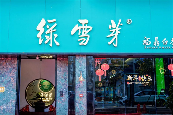 福鼎白茶绿雪芽 福鼎白茶绿雪芽