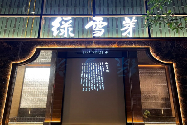 福鼎白茶绿雪芽 福鼎白茶绿雪芽