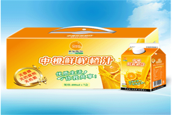 中橙鲜榨橙汁