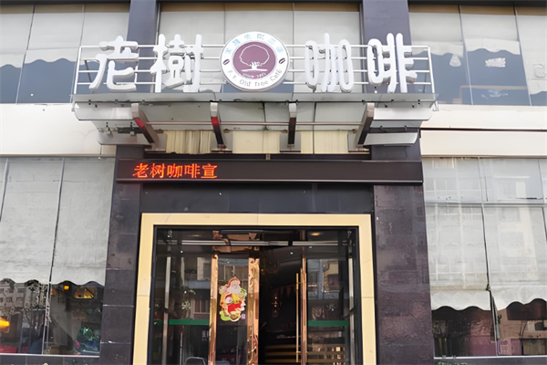 老树咖啡店