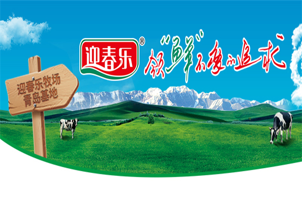 迎春乐鲜奶