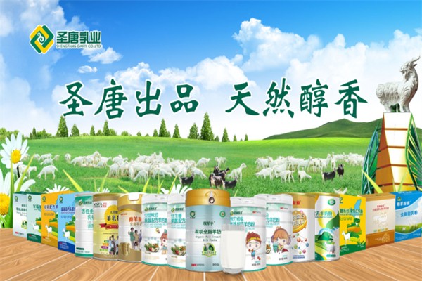 圣唐乳业加盟多少钱?小额资金,打造特色小店
