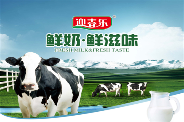 迎春乐鲜奶