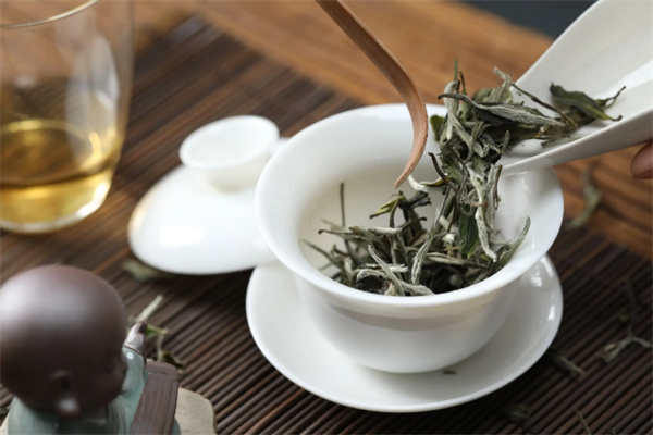 茶怪张