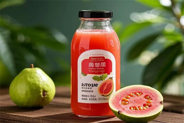 芭丝乐果蔬汁加盟条件是什么?申请条件简易