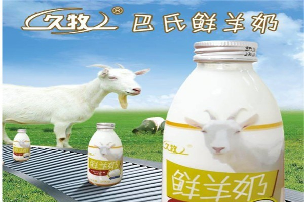 久牧鲜羊奶加盟条件是什么?无需经验,零基础也能加盟