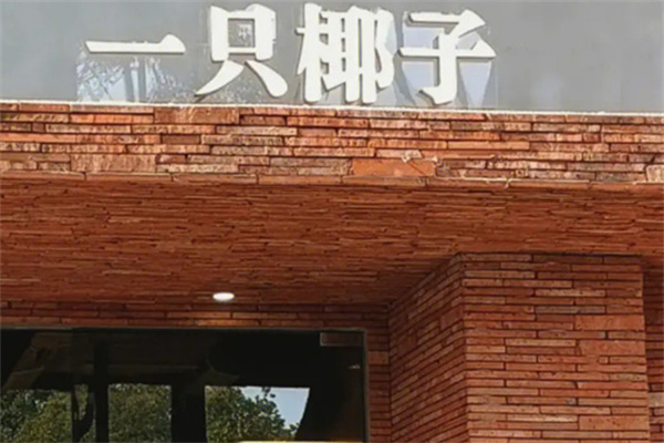 一只椰子 一只椰子
