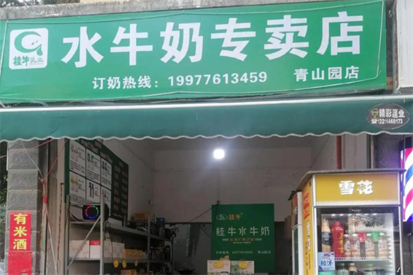 桂牛牛奶