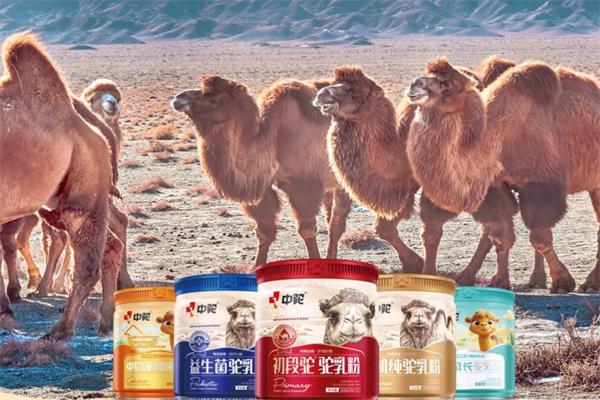 中驼驼奶 中驼驼奶