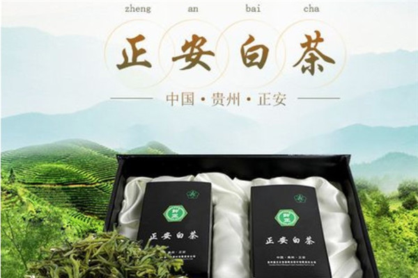 正安白茶