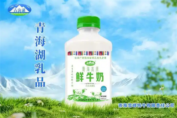 青海湖乳业 青海湖乳业