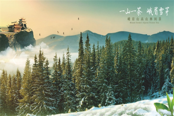 峨眉雪芽加盟条件有哪些?加盟限制不多，创业自由度高