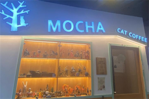 mocha猫咖 mocha猫咖