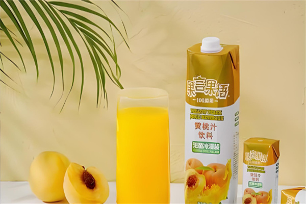 果言果语食品