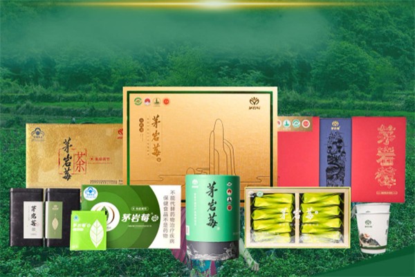 湘茶 湘茶