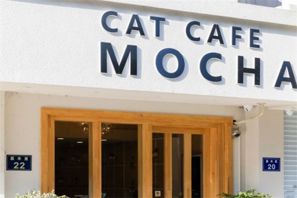 mocha猫咖 mocha猫咖