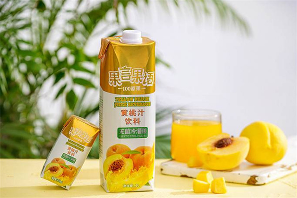 果言果语食品
