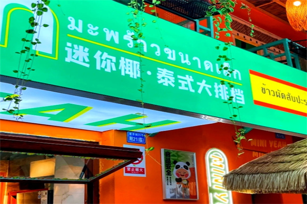 迷你椰