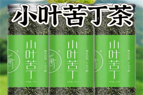 小叶苦丁茶 小叶苦丁茶