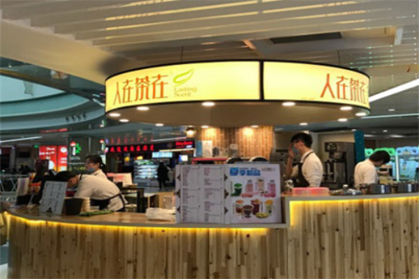 人在茶在 人在茶在