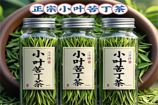 小叶苦丁茶 小叶苦丁茶