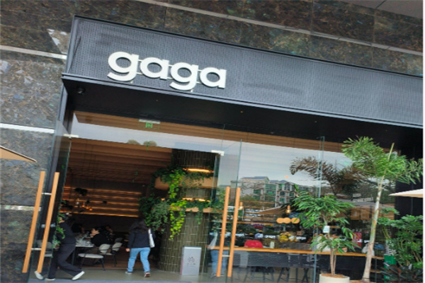 鲜语gaga