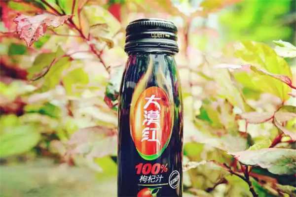 大漠红枸杞汁 大漠红枸杞汁