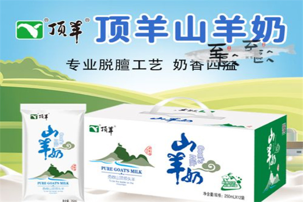 顶羊羊奶 顶羊羊奶