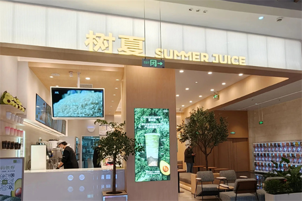 树夏