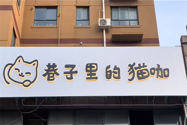 巷子里的猫·猫咖