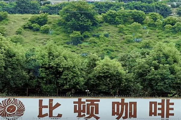 比顿咖啡 比顿咖啡